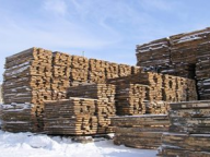 Pine wood timber